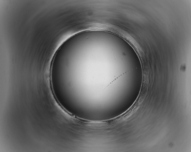 X0000102851487200808181406