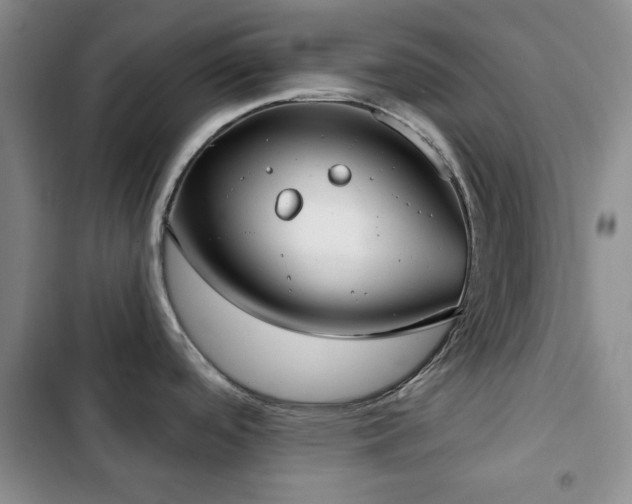 X0000102851488200808181406