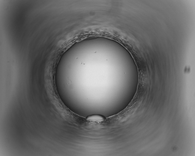 X0000102851489200808181405