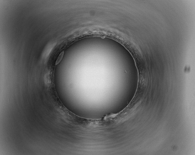 X0000102851490200808181405