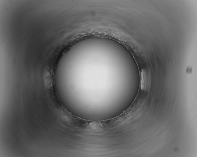 X0000102851491200808181405