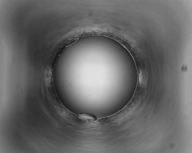 X0000102851492200808181405