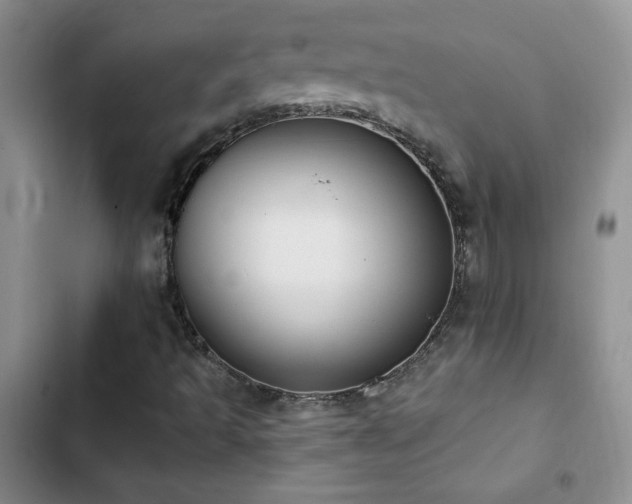 X0000102851493200808181405