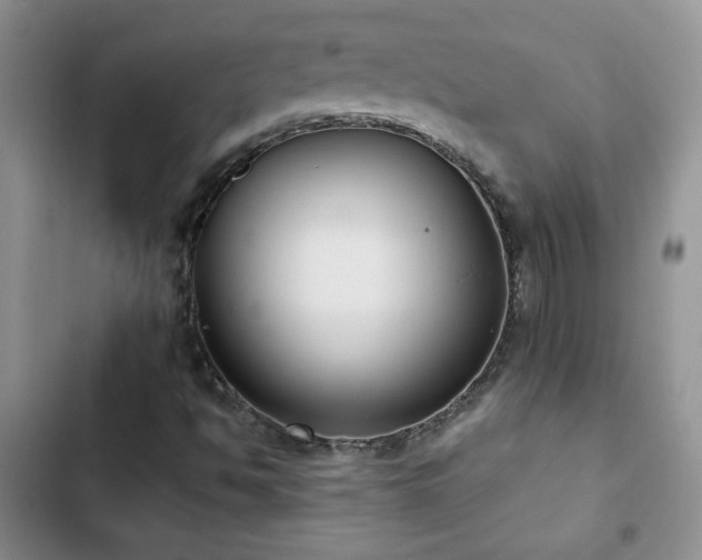 X0000102851494200808181405