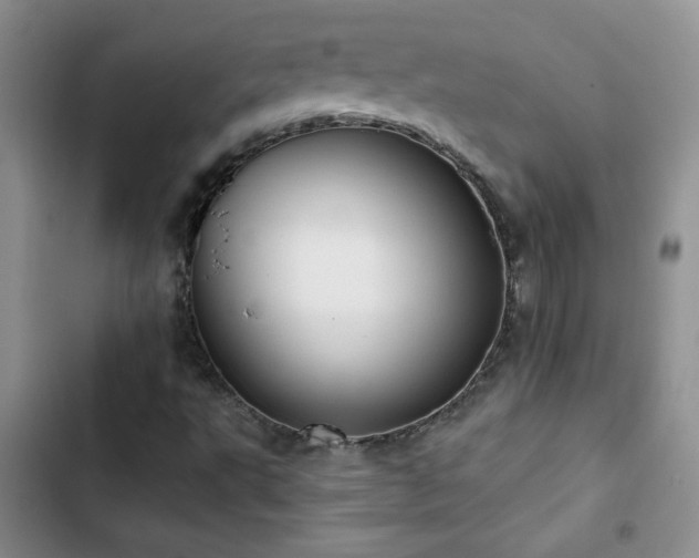 X0000102851495200808181405