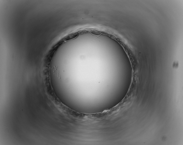 X0000102851496200808181405