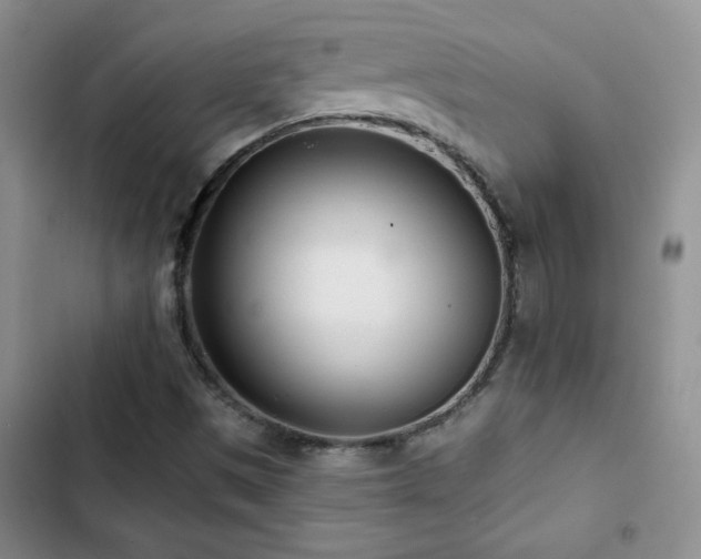X0000102851497200808181405