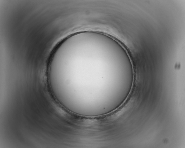 X0000102851498200808181405
