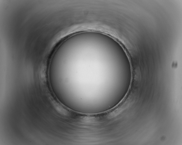X0000102851499200808181405