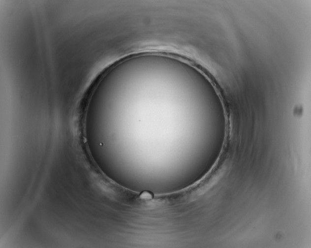 X0000102851501200808181405