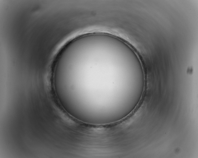 X0000102851502200808181405