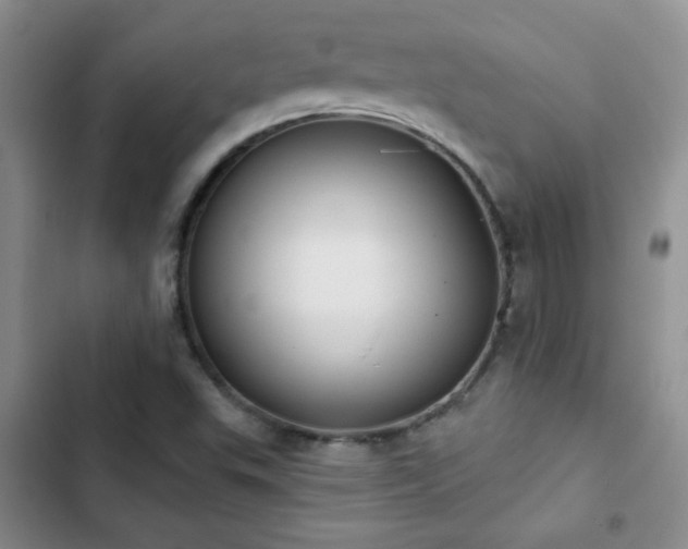 X0000102851503200808181405