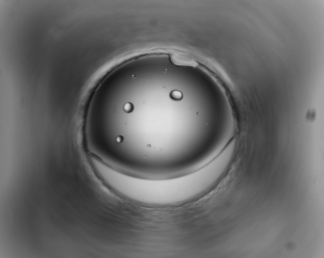 X0000102851504200808181405