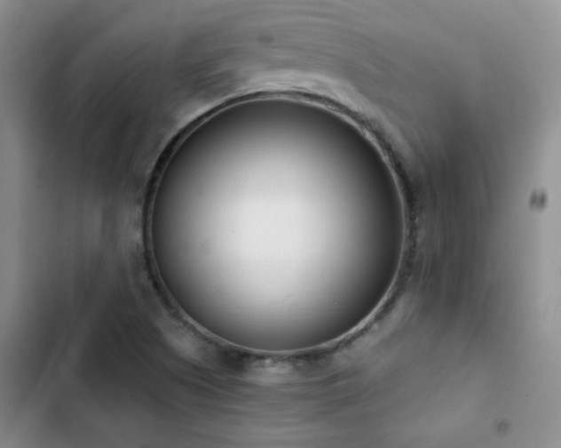 X0000102851505200808181405