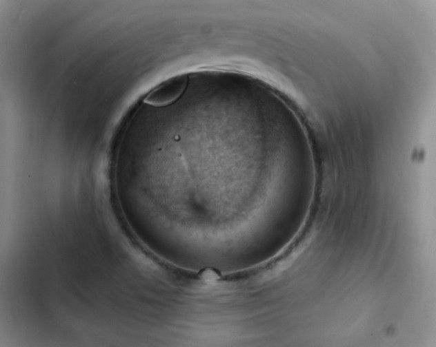 X0000102851506200808181405