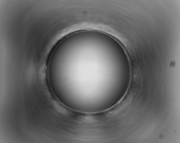 X0000102851507200808181405