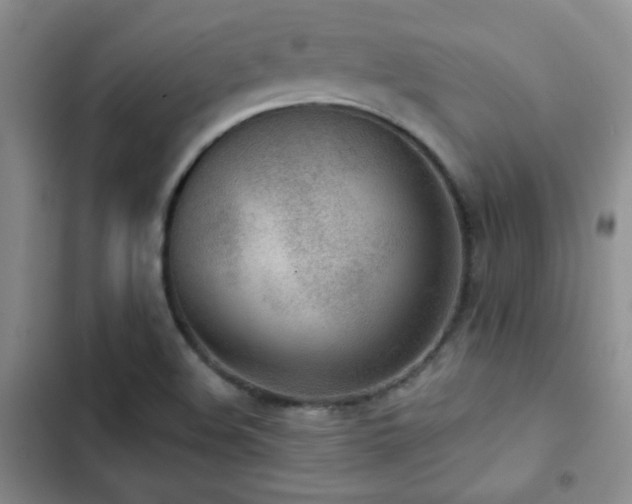 X0000102851508200808181405