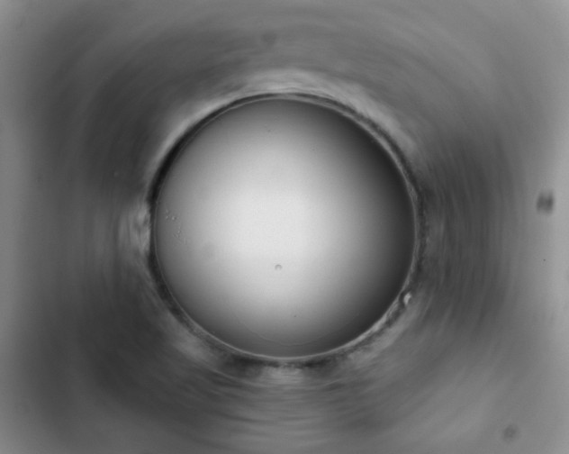 X0000102851509200808181405