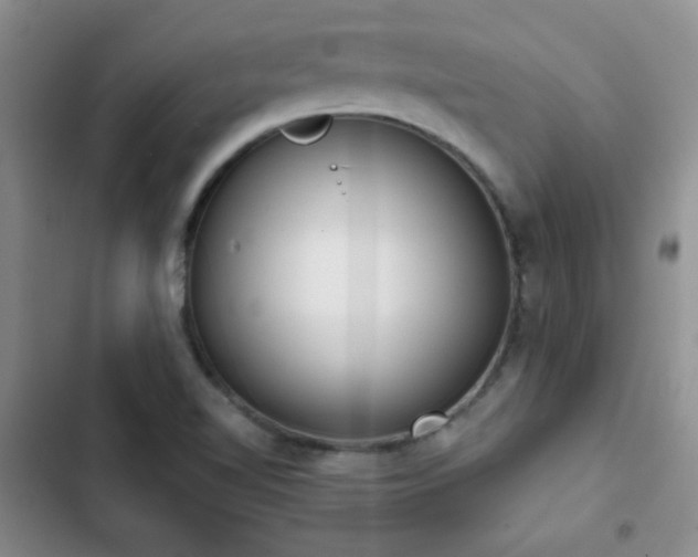 X0000102851510200808181405