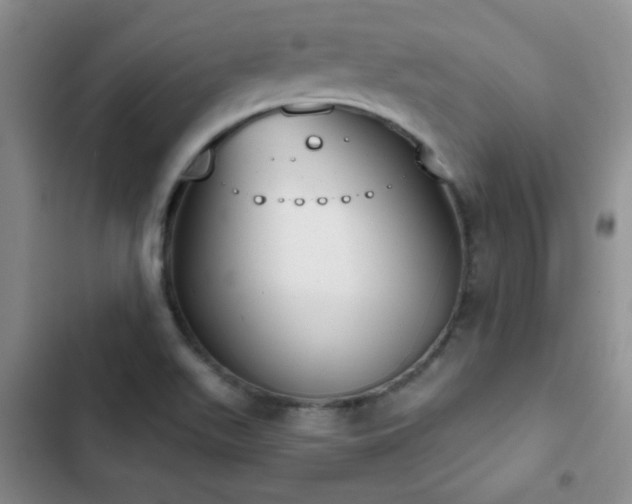 X0000102851511200808181405