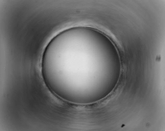 X0000102851512200808181405