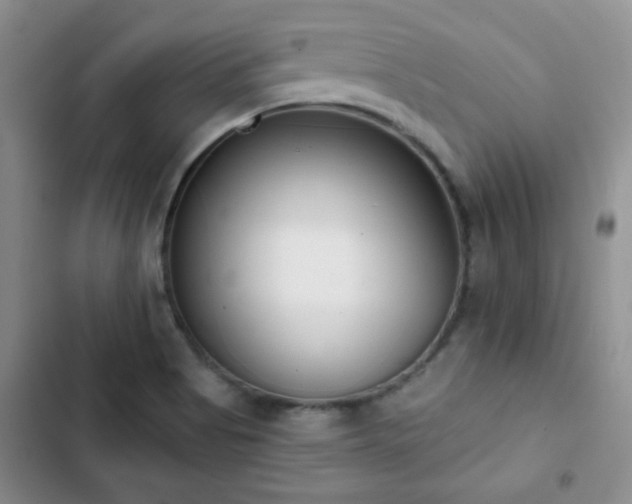 X0000102851513200808181405