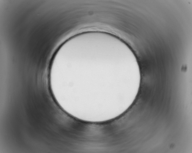 X0000102851514200808181405