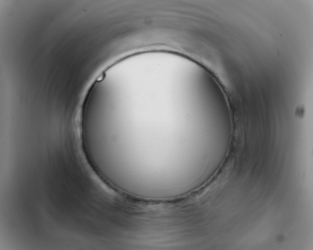 X0000102851516200808181405