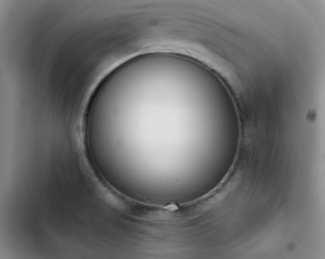 X0000102851517200808181405