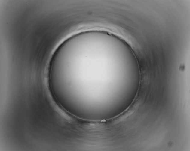 X0000102851518200808181405