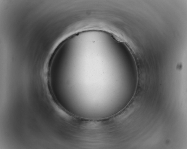X0000102851519200808181406