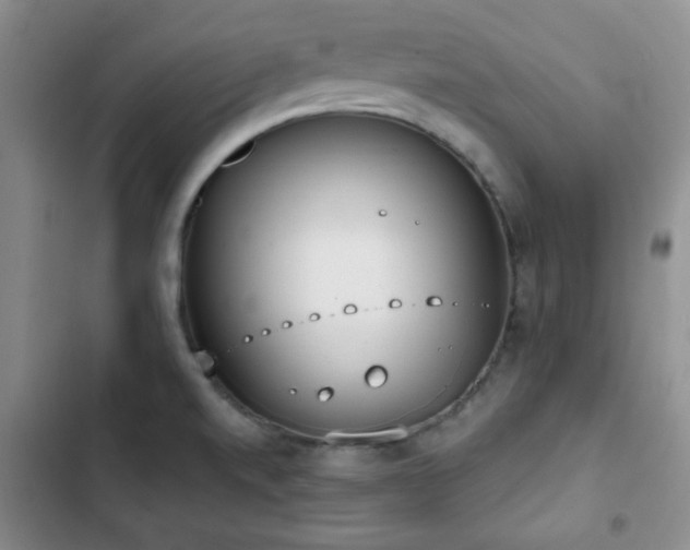 X0000102851520200808181406