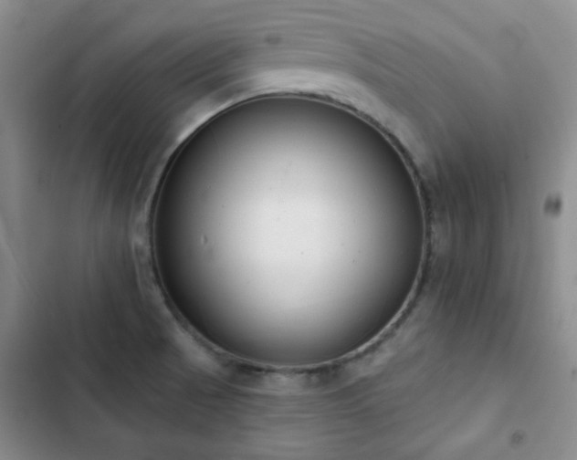 X0000102851521200808181406