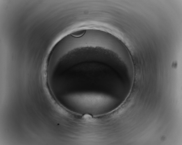 X0000102851522200808181406