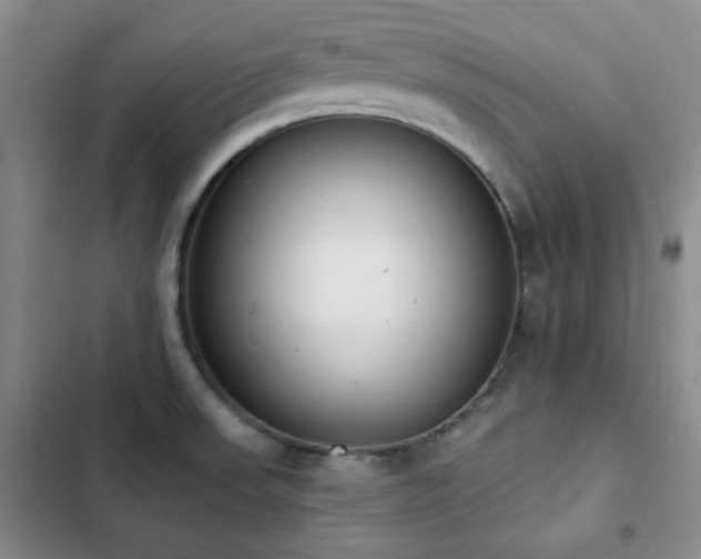 X0000102851523200808181406