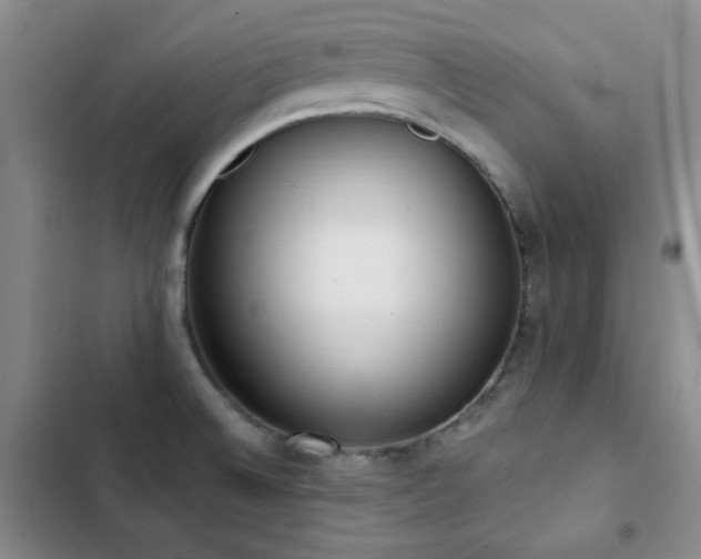 X0000102851524200808181406
