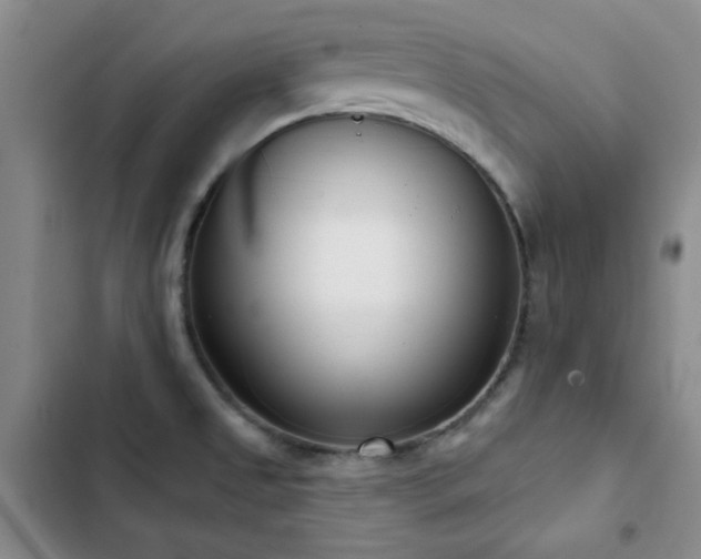 X0000102851525200808181406