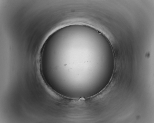 X0000102851526200808181406