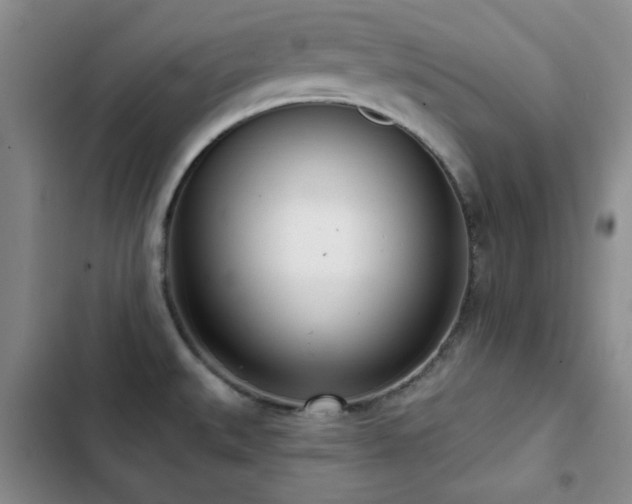 X0000102851527200808181406
