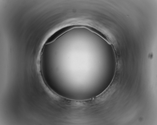 X0000102851528200808181406