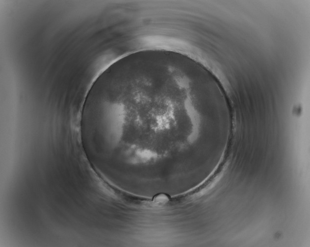 X0000102851529200808181406