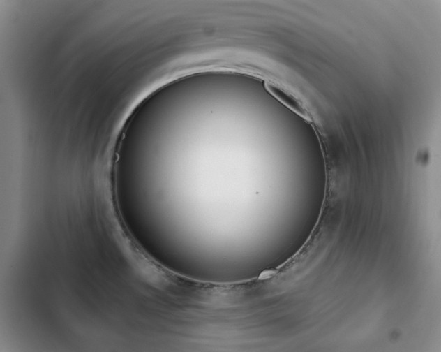 X0000102851530200808181406