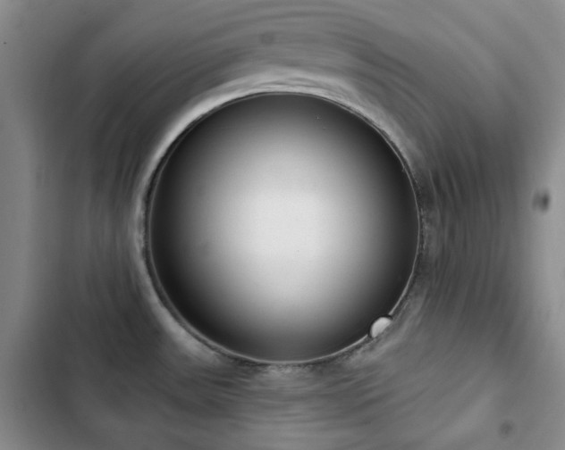 X0000102851531200808181406