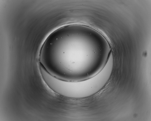X0000102851532200808181406