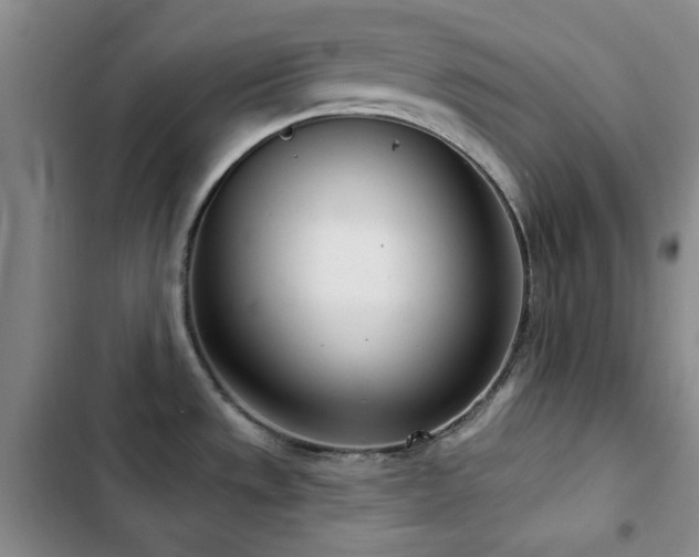 X0000102851533200808181406