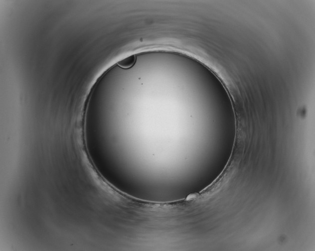 X0000102851534200808181406