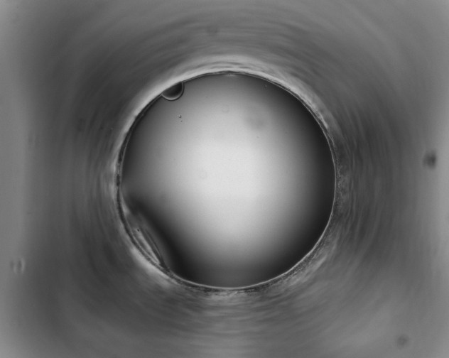 X0000102851535200808181406