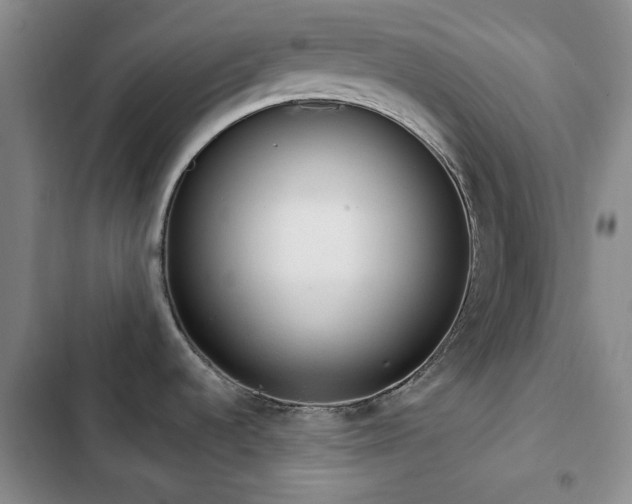 X0000102851536200808181406