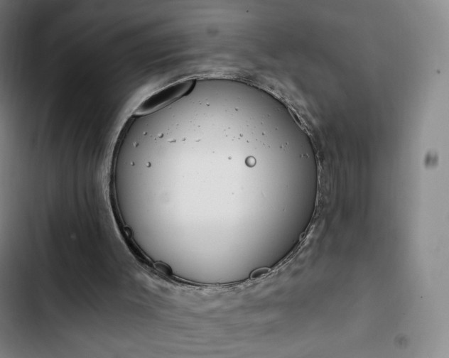 X0000102850003200808251213