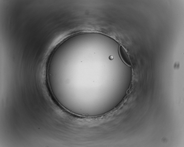 X0000102850005200808251213